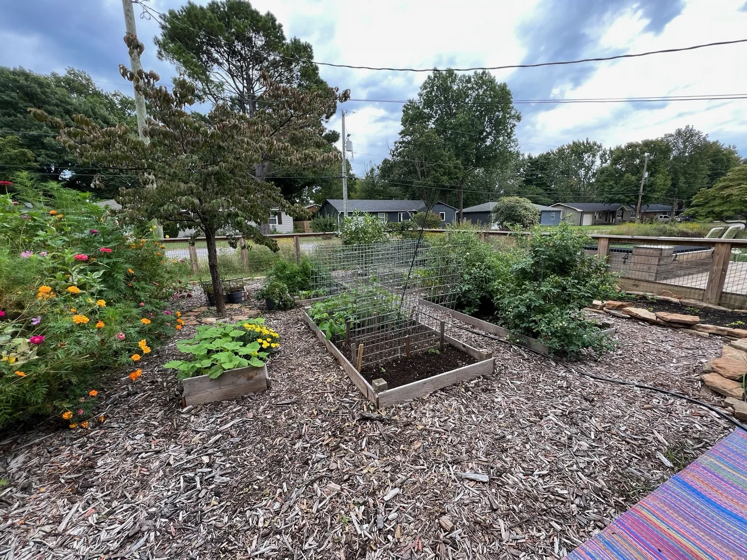 Native and edible landscaping