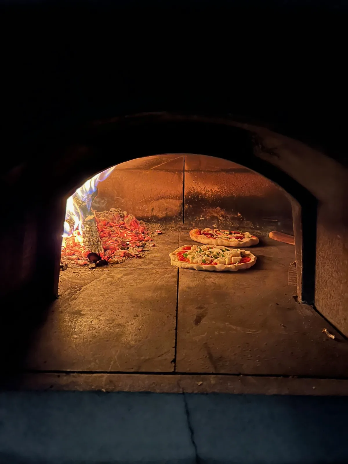 Wood-fired pizza oven
